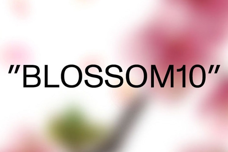 Selected Publications CHERRY BLOSSOM PEAK “BLOSSOM10” | 하이츠스토어